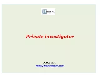 private investigator