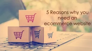 5 Reasons Why you need an ecommerce store?