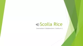 Buy Rice Online in Chennai | Scolla.in