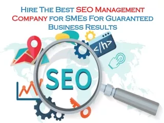 Hire The Best SEO Management Company for SMEs For Guaranteed Business Results