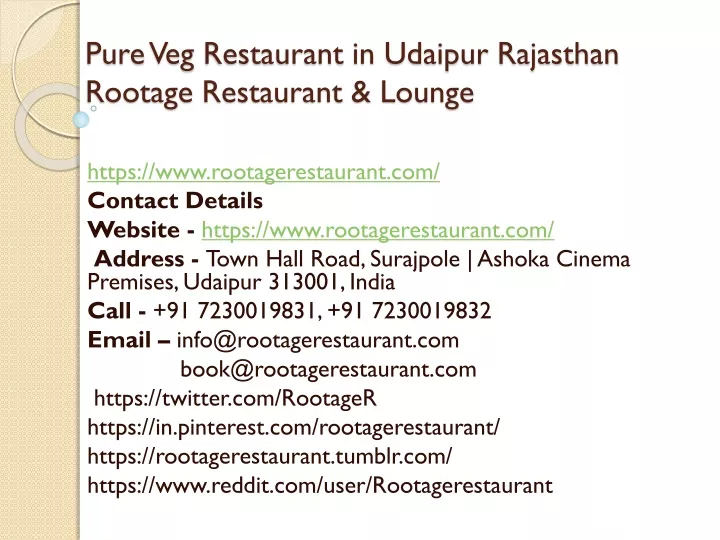 pure veg restaurant in udaipur rajasthan rootage restaurant lounge