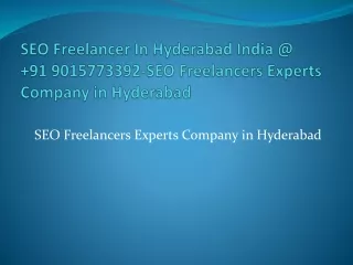 SEO Freelancer In Hyderabad India @  91 9015773392-SEO Freelancers Experts Company in Hyderabad