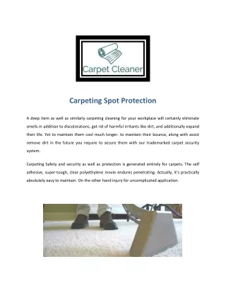 Professional Carpet Cleaner Auckland | Carpet-Cleaner.Co.Nz