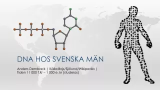 dna hos svenska m n
