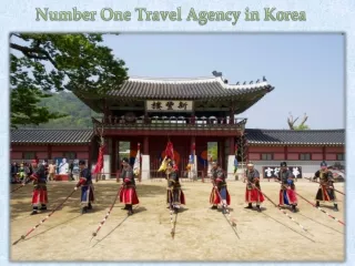 Number One Travel Agency in Korea