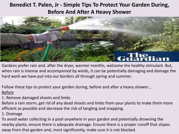 benedict t palen jr simple tips to protect your garden during before and after a heavy shower