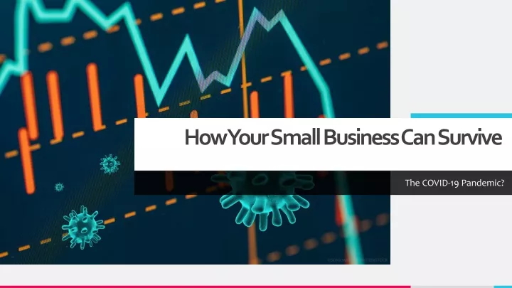 how your small business can survive