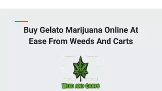 Buy Gelato Marijuana Online At Ease From Weeds And Carts