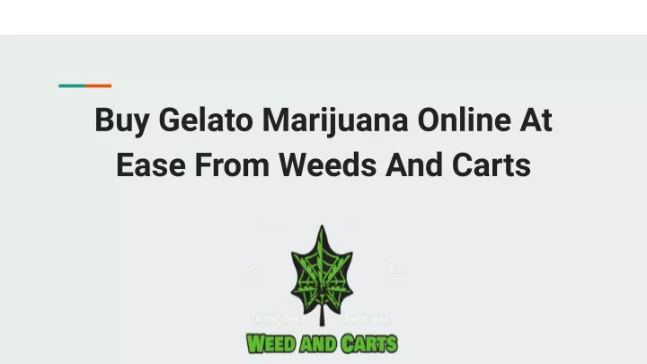 buy gelato marijuana online at ease from weeds