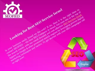 Looking For Best Seo Services in Israel