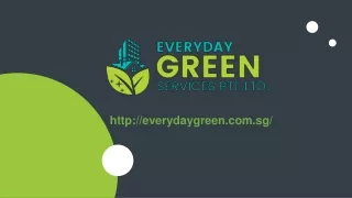 Best Professional Cleaning Service Singapore by Everyday Green Services