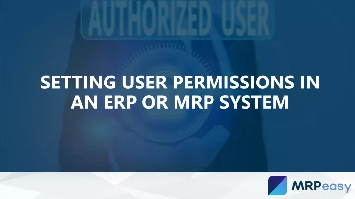 setting user permissions in an erp or mrp system