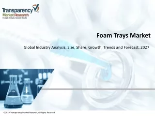 Global Foam Trays Market Outlook, Trend, Growth and Share Estimation Analysis 2024