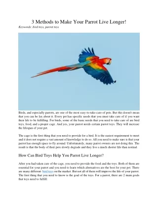 3 methods to make your parrot live longer