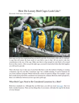 how do luxury bird cages look like keywords bird