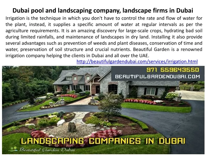 dubai pool and landscaping company landscape