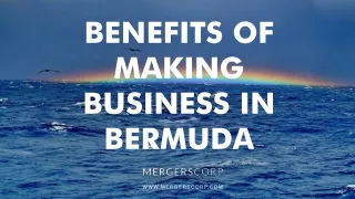 benefits of making business in bermuda