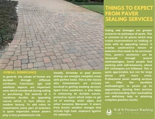 Things to expect from paver sealing services