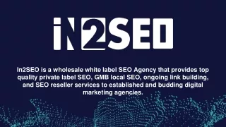 in2seo is a wholesale white label seo agency that