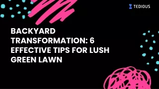 Backyard Transformation: 6 Effective Tips for Lush Green Lawn!