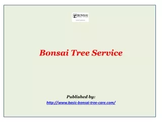 Bonsai Tree Service