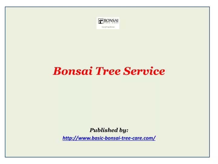 bonsai tree service published by http www basic bonsai tree care com