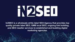 in2seo is a wholesale white label seo agency that