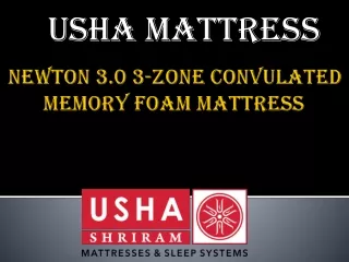 Newton 3.0 3-Zone Convulated Memory Foam Mattress