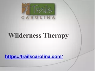 Wilderness Therapy Offered By www.trailscarolina.com