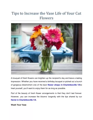 Tips to Increase the Vase Life of Your Cut Flowers