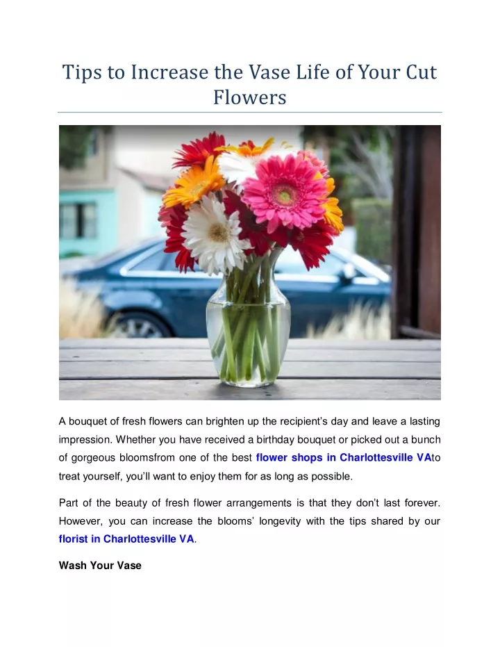 tips to increase the vase life of your cut flowers