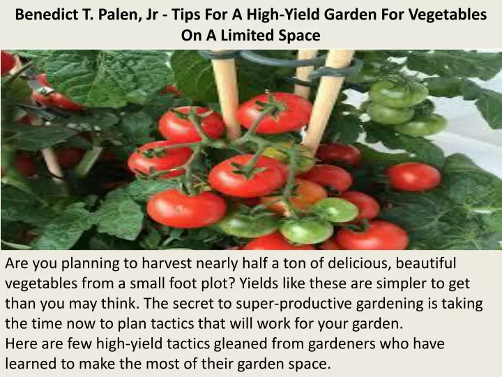 benedict t palen jr tips for a high yield garden for vegetables on a limited space