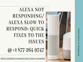 Alexa Not Responding 1-8772649747 Alexa Slow to Respond
