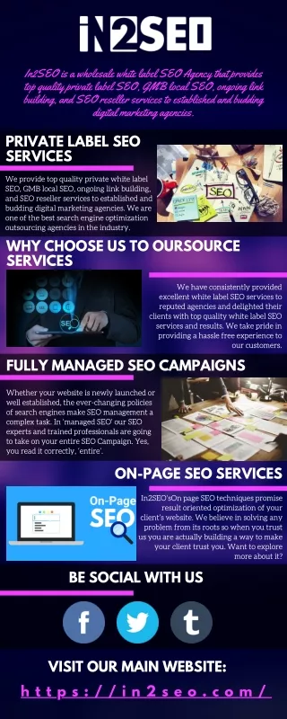 in2seo is a wholesale white label seo agency that