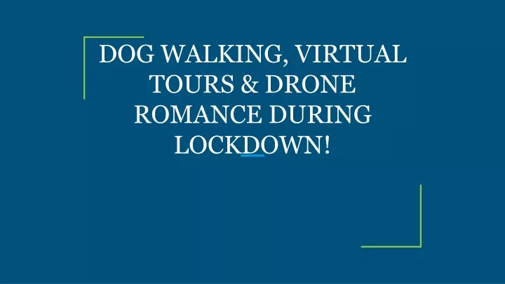 dog walking virtual tours drone romance during lockdown