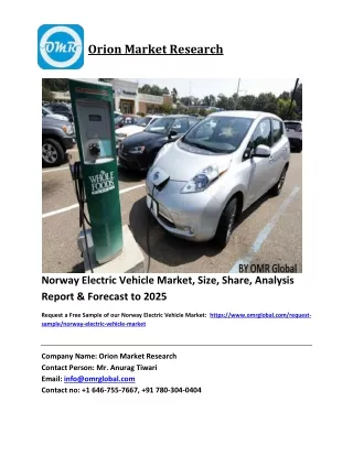 Norway Electric Vehicle Market Growth, Size, Share, Industry Report and Forecast 2019-2025
