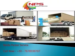 Packers and Movers in Noida - Noida Packer Service