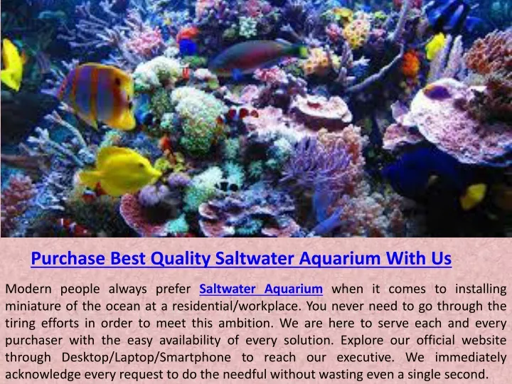 purchase best quality saltwater aquarium with us