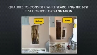 Qualities to Consider While Searching the Best Pest Control Organization