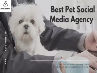 Best pet Social Media Agency