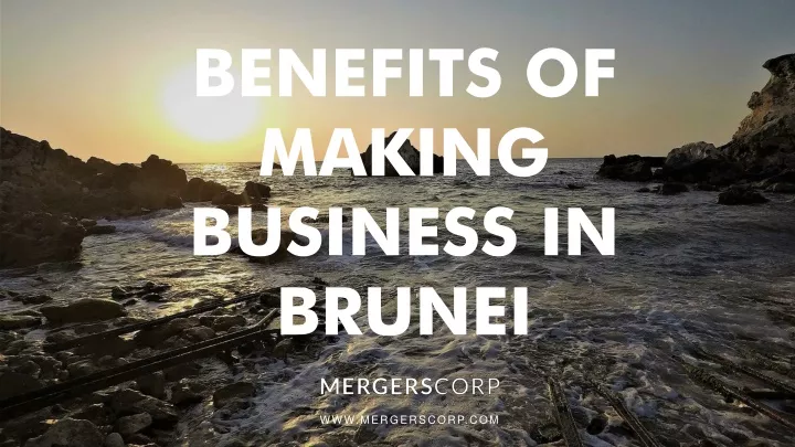 benefits of making business in brunei