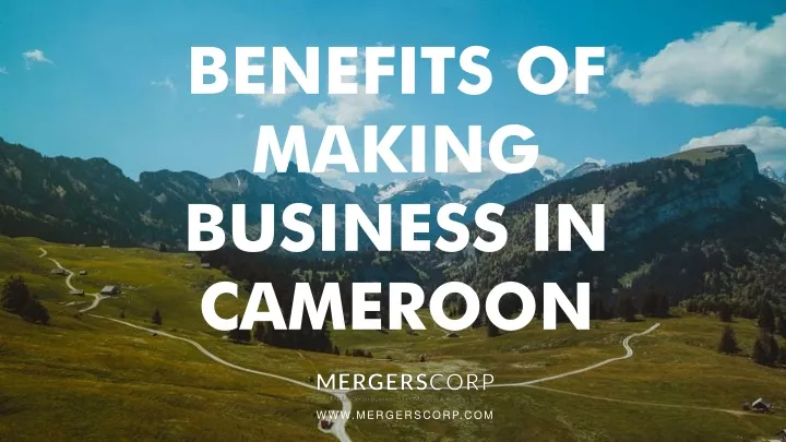 benefits of making business in cameroon