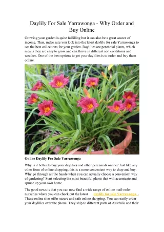 Daylily For Sale Yarrawonga - Why Order and Buy Online