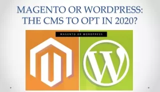 MAGENTO OR WORDPRESS: THE CMS TO OPT IN 2020?