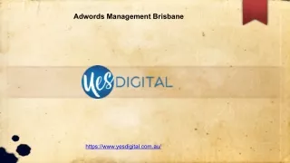 Adwords Management Brisbane