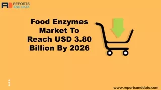 Food Enzymes Market Segmentation and Future Forecasts to 2026