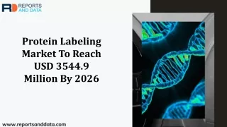 Protein Labeling Market Segmentation and Future Forecasts to 2026