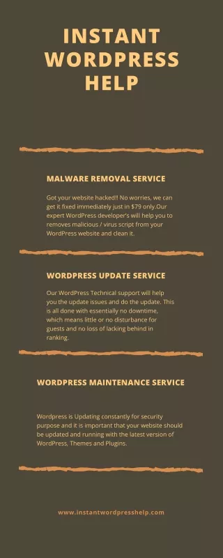 WordPress Malware Removal USA | WordPress Malware Removal Service