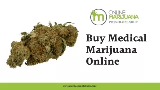 Buy Medical Marijuana from Marijuana Pot Strains 