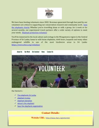 we have been hosting volunteers since 2002